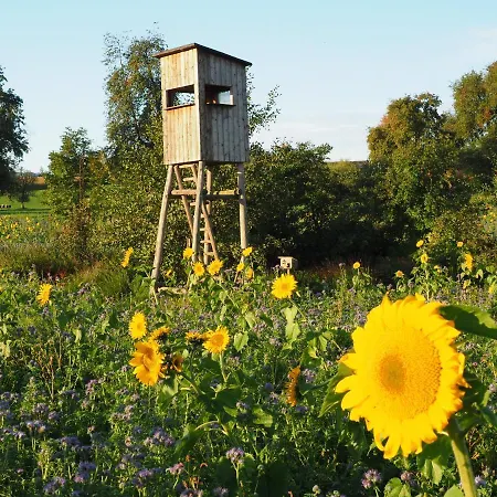 Mit Singlekueche-apartment With Longstayfares 아파트 Kaufing