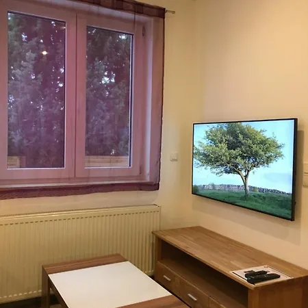 Mit Singlekueche-apartment With Longstayfares Kaufing