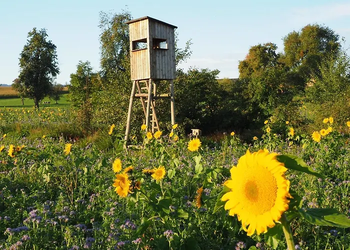 Monteurzimmer - Mit Singlekueche-apartment With Longstayfares Διαμέρισμα Kaufing